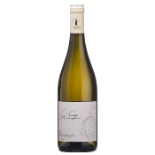 Vin blanc - Saint Joseph - Vania Blanc